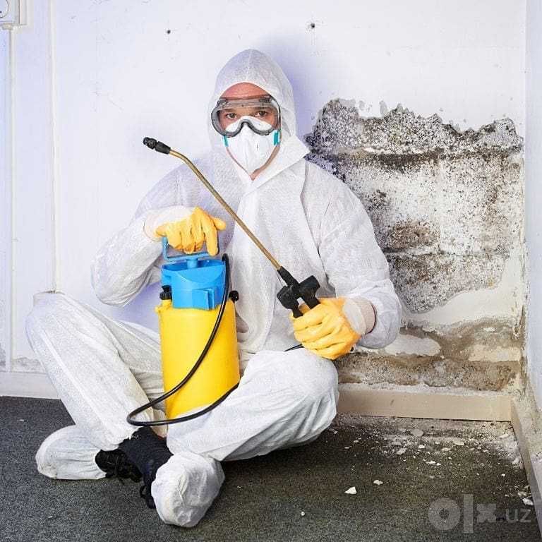 Команда DezEffect уничтожает вредителей с гарантией