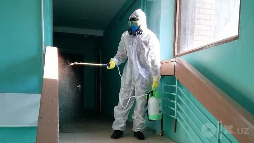 Команда DezEffect уничтожает вредителей с гарантией