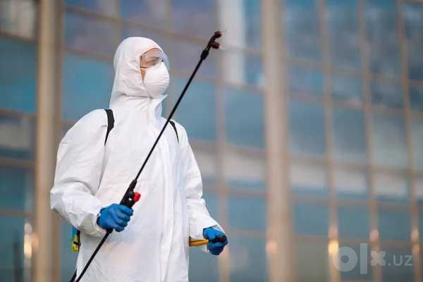 Команда DezEffect уничтожает вредителей с гарантией
