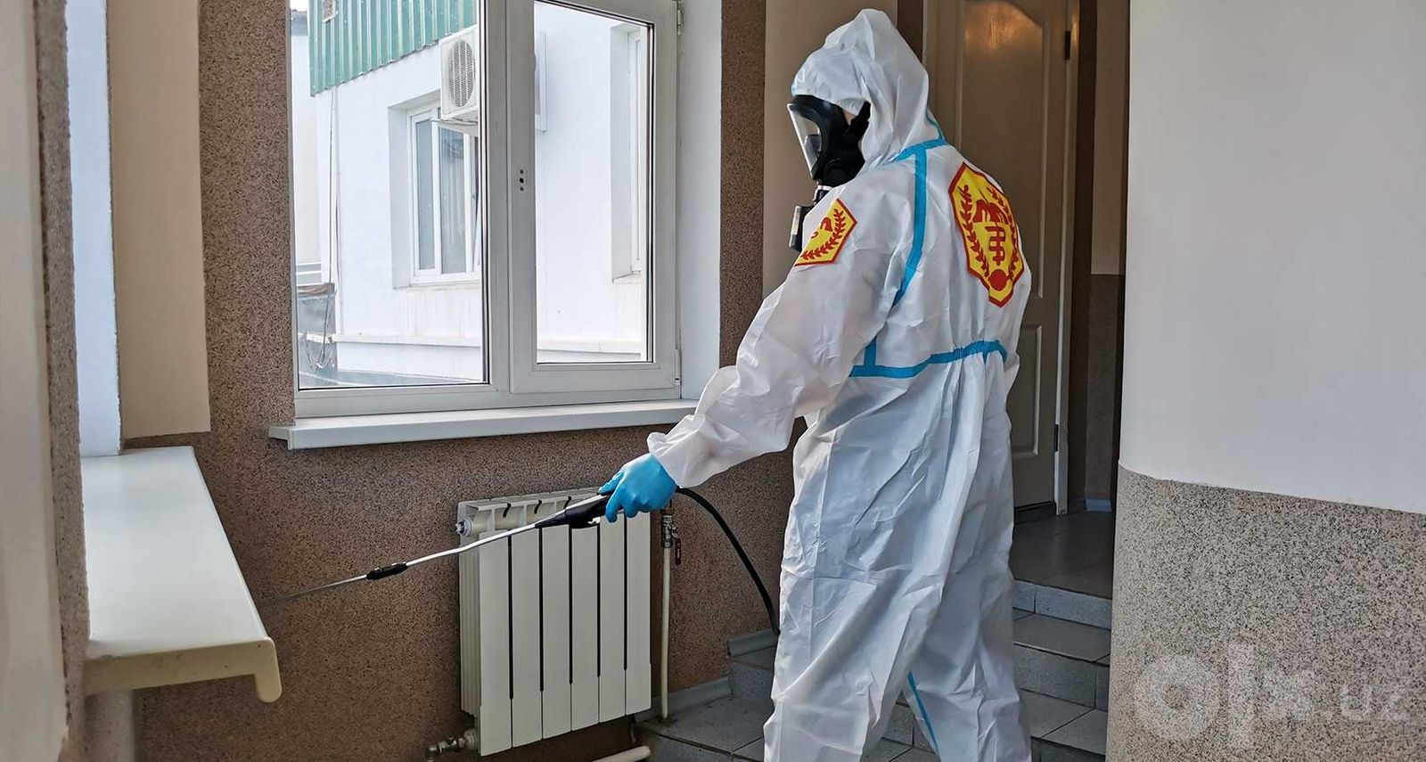 Команда DezEffect уничтожает вредителей с гарантией