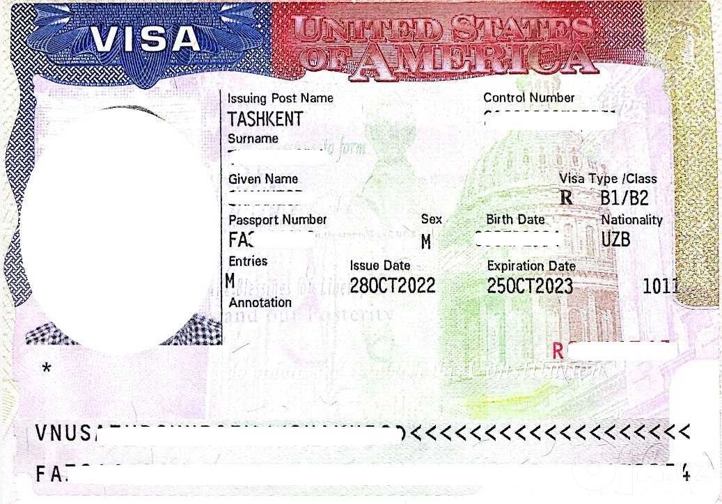 Помощь с визой в США: запись на собеседование и анкеты