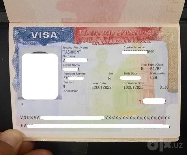 Помощь с визой в США: запись на собеседование и анкеты