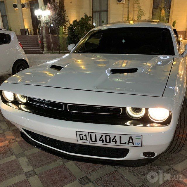 Прокат премиальных авто с водителем и без
