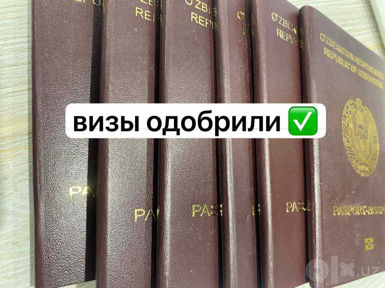 Шенгенская виза в страны Европы: документы и анкета