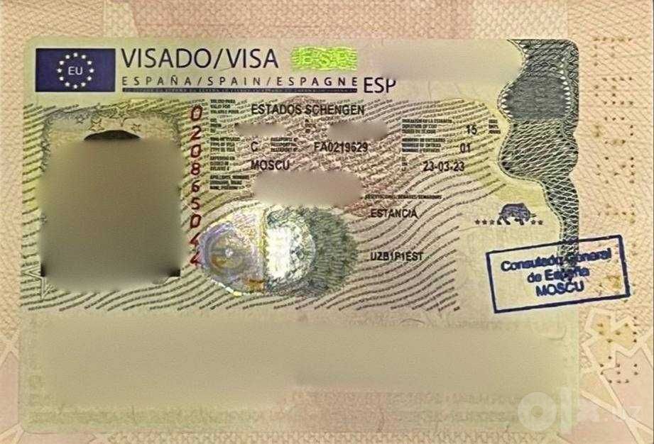 Шенгенская виза в страны Европы: документы и анкета