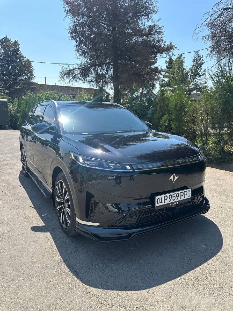 Бизнес такси на Dongfeng EP008, премиум класс