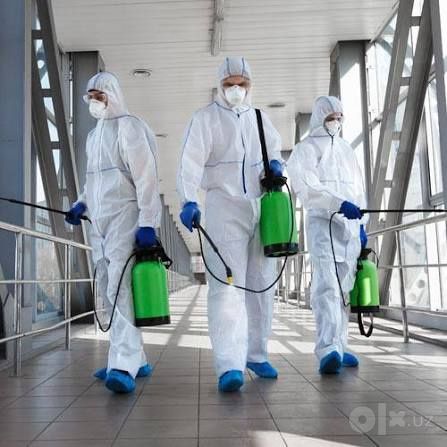 Дезинфекция, дезинсекция и дератизация по Ташкенту
