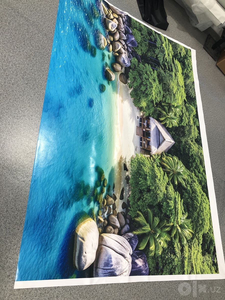 Натяжные потолки с фотопечатью и 3D обоями
