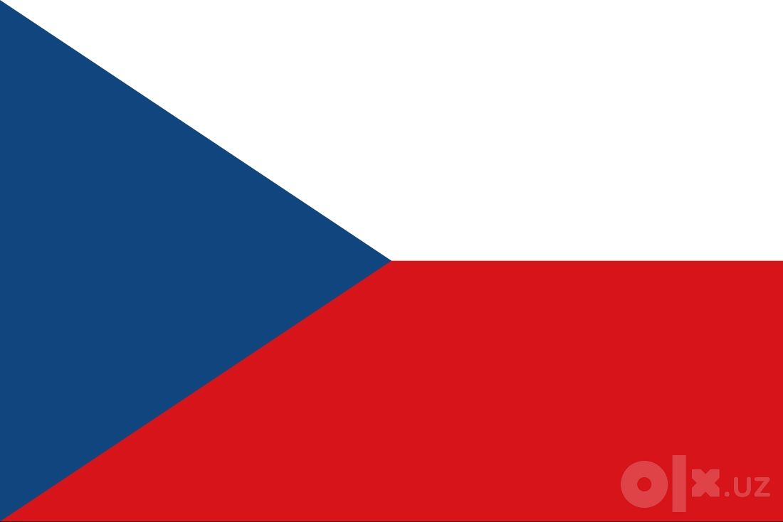Рабочая, студенческая и бизнес-виза: Германия, Канада, Япония
