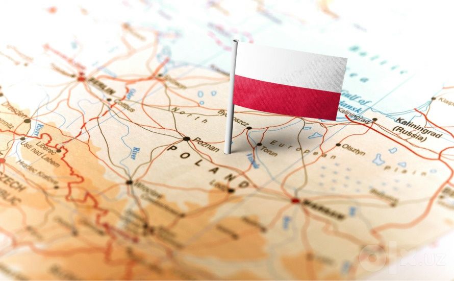 Рабочая, студенческая и бизнес-виза: Германия, Канада, Япония