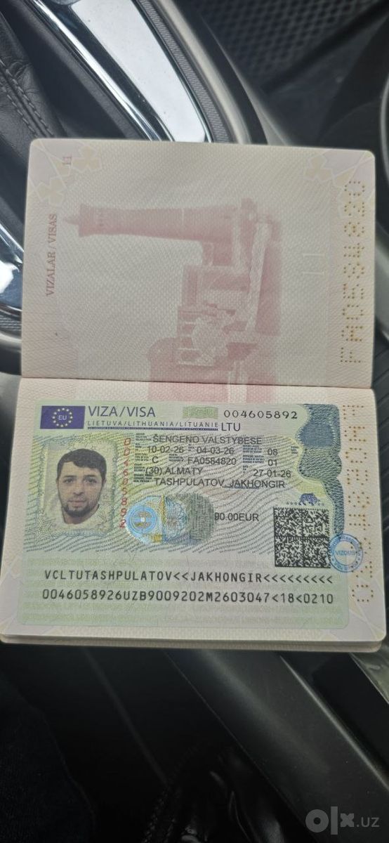 Виза в страны Европы через визовый центр Platinum Viza