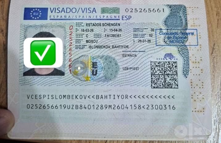 Виза в страны Европы через визовый центр Platinum Viza