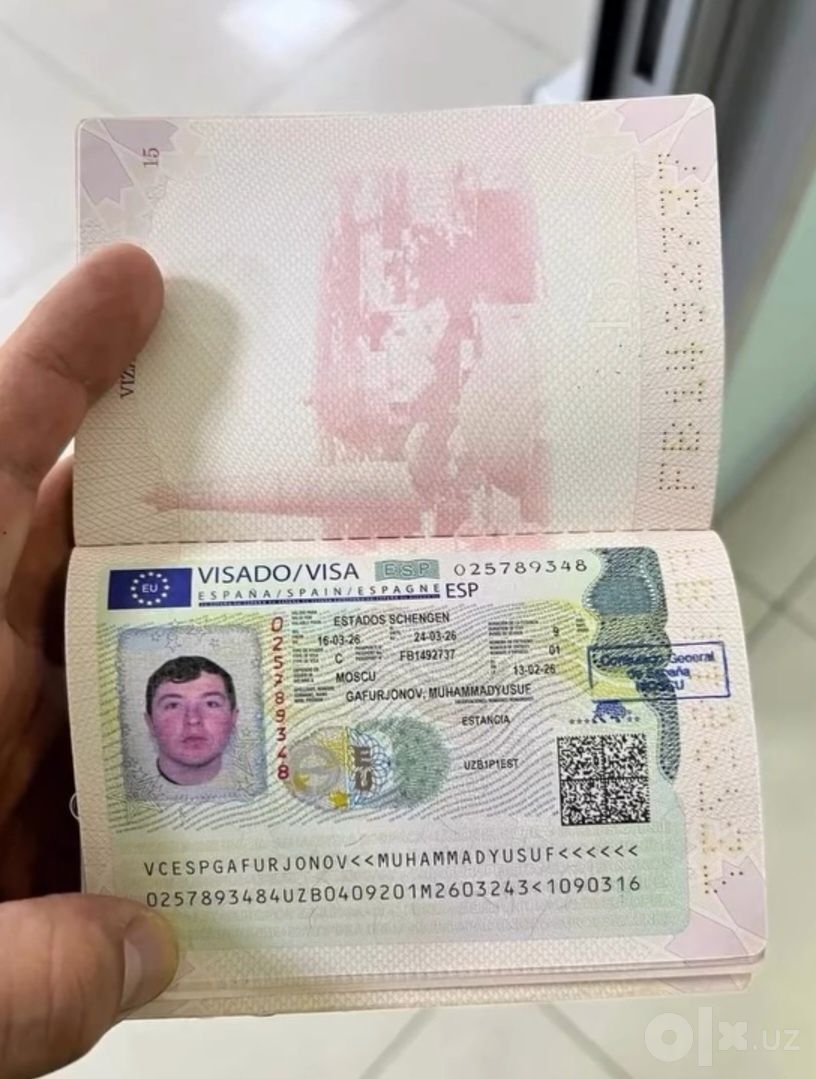 Виза в страны Европы через визовый центр Platinum Viza