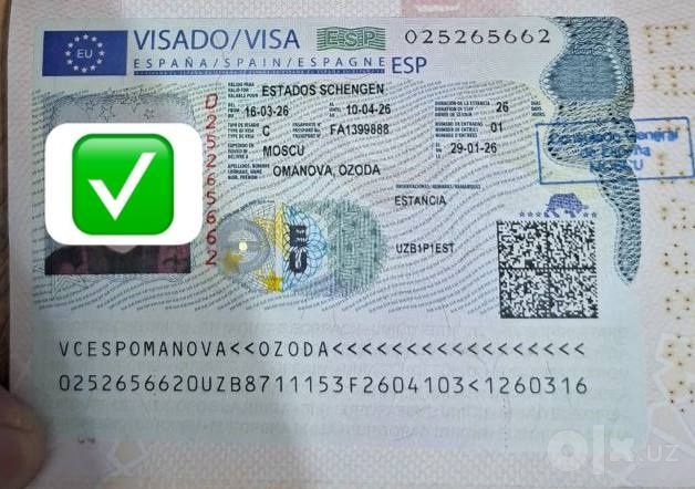 Виза в страны Европы через визовый центр Platinum Viza