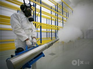 MaxDezMaster: обработка квартир и домов от насекомых