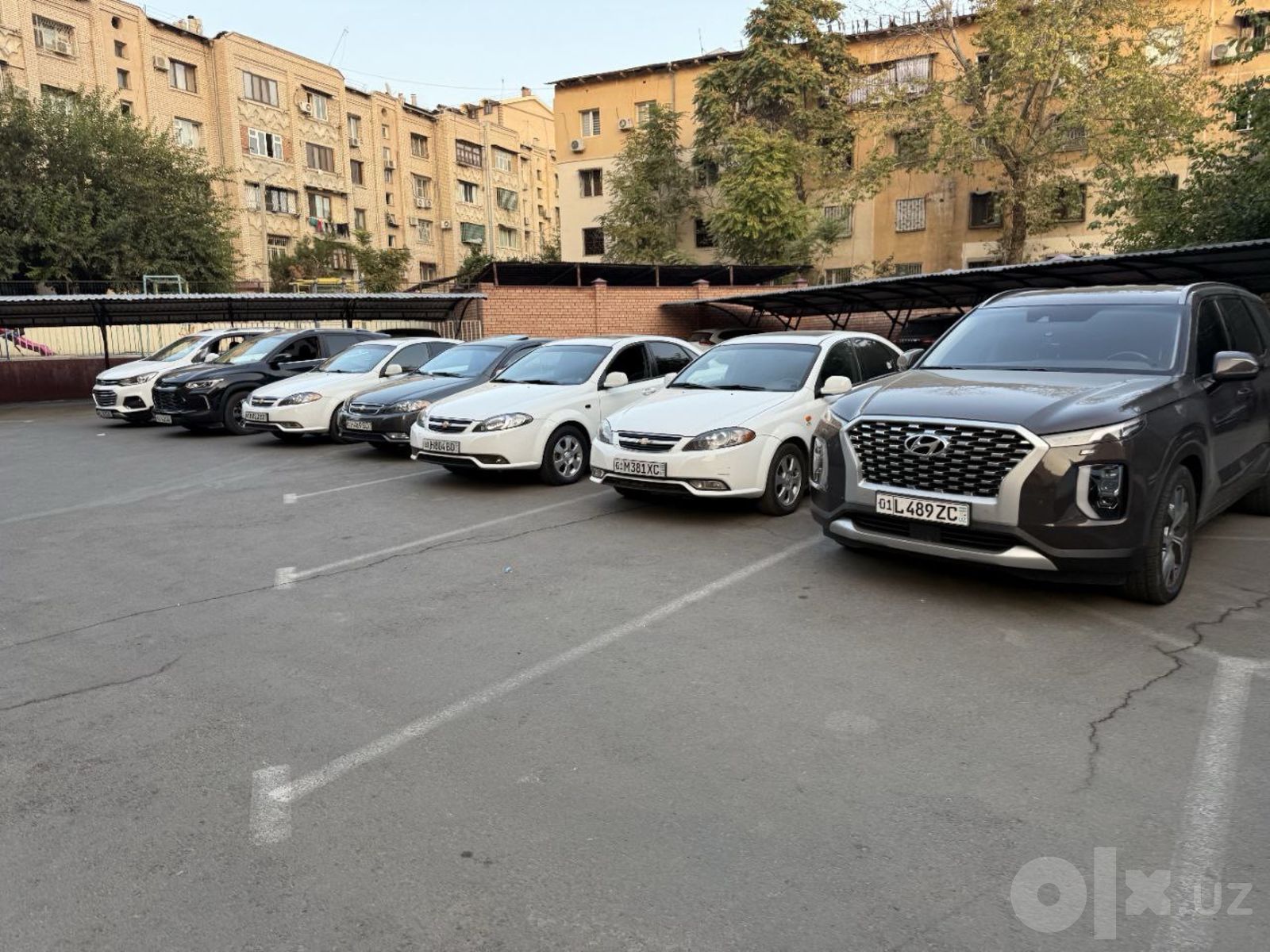 Аренда авто от эконом до бизнес-класса
