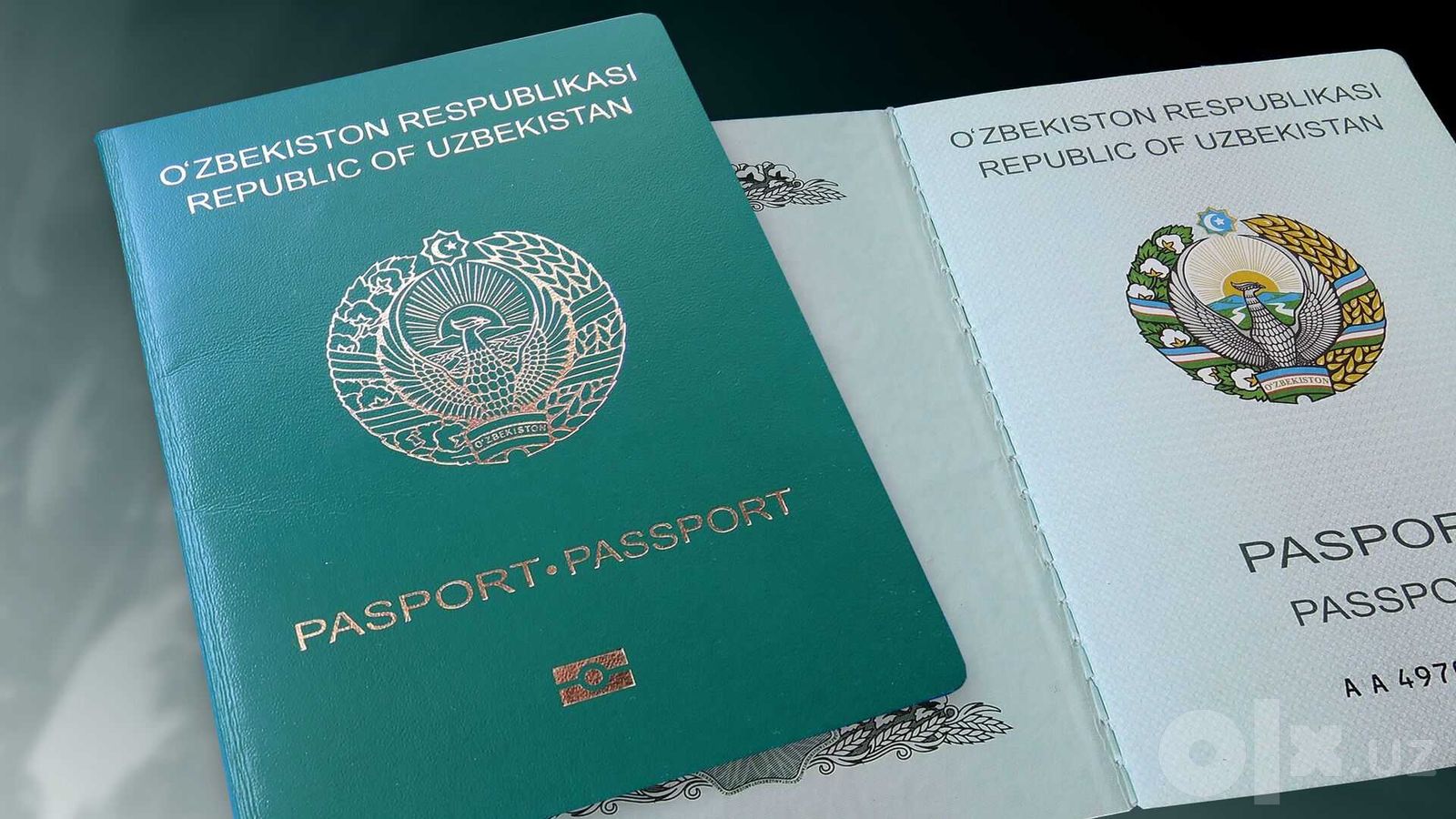 Письменный перевод документов любой сложности
