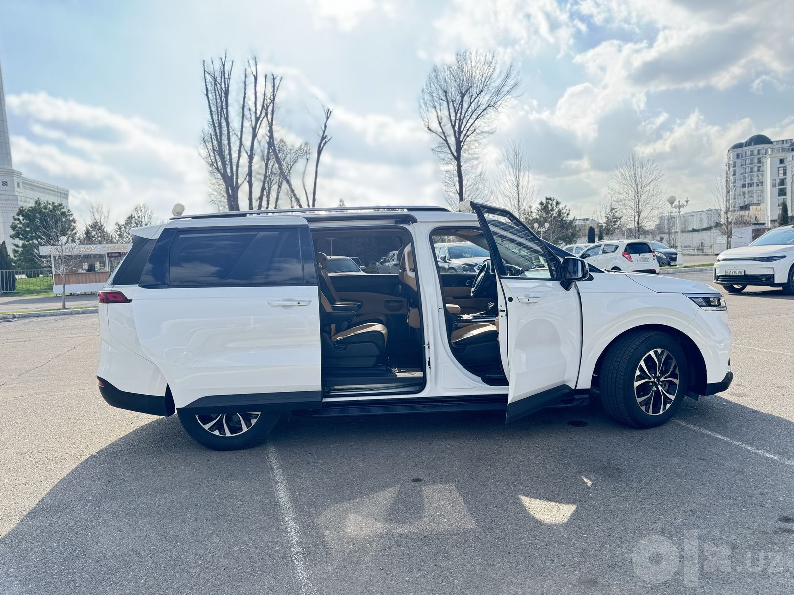 Трансфер на минивэне Kia Carnival с водителем