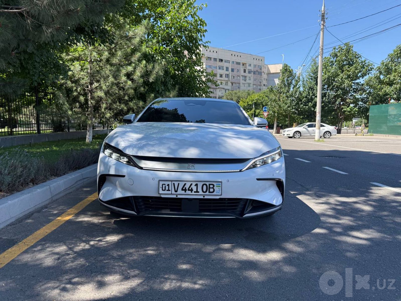Трансфер по Узбекистану: Амирсой, Чарвак, Самарканд
