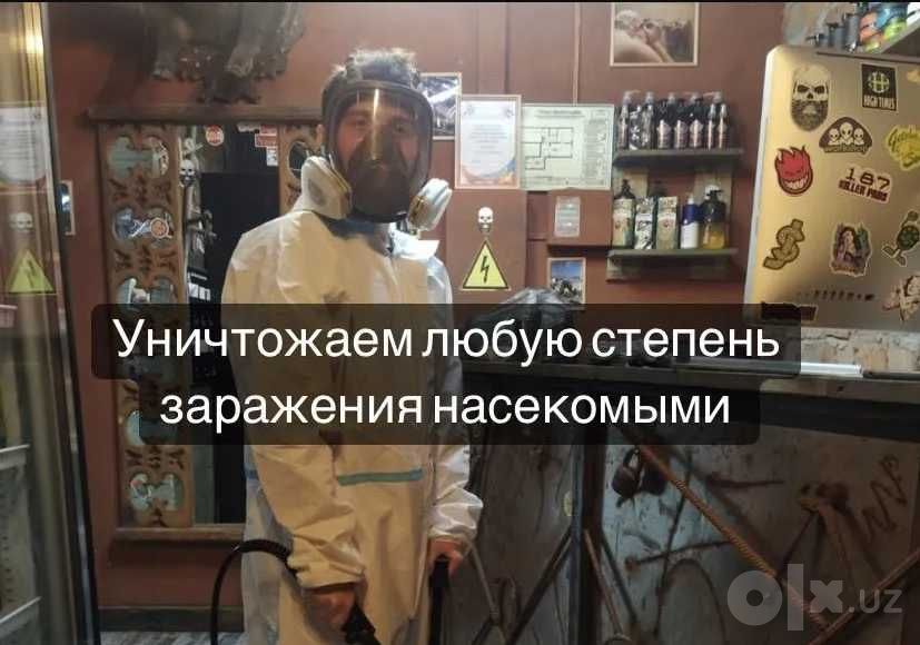 Дезинфекция от клопов, тараканов и грызунов за час
