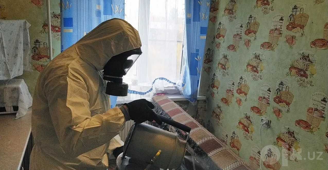 Дезинфекция от клопов, тараканов и грызунов за час