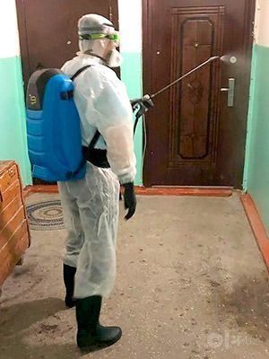 Sevendez: дезинфекция и дезинсекция по договору