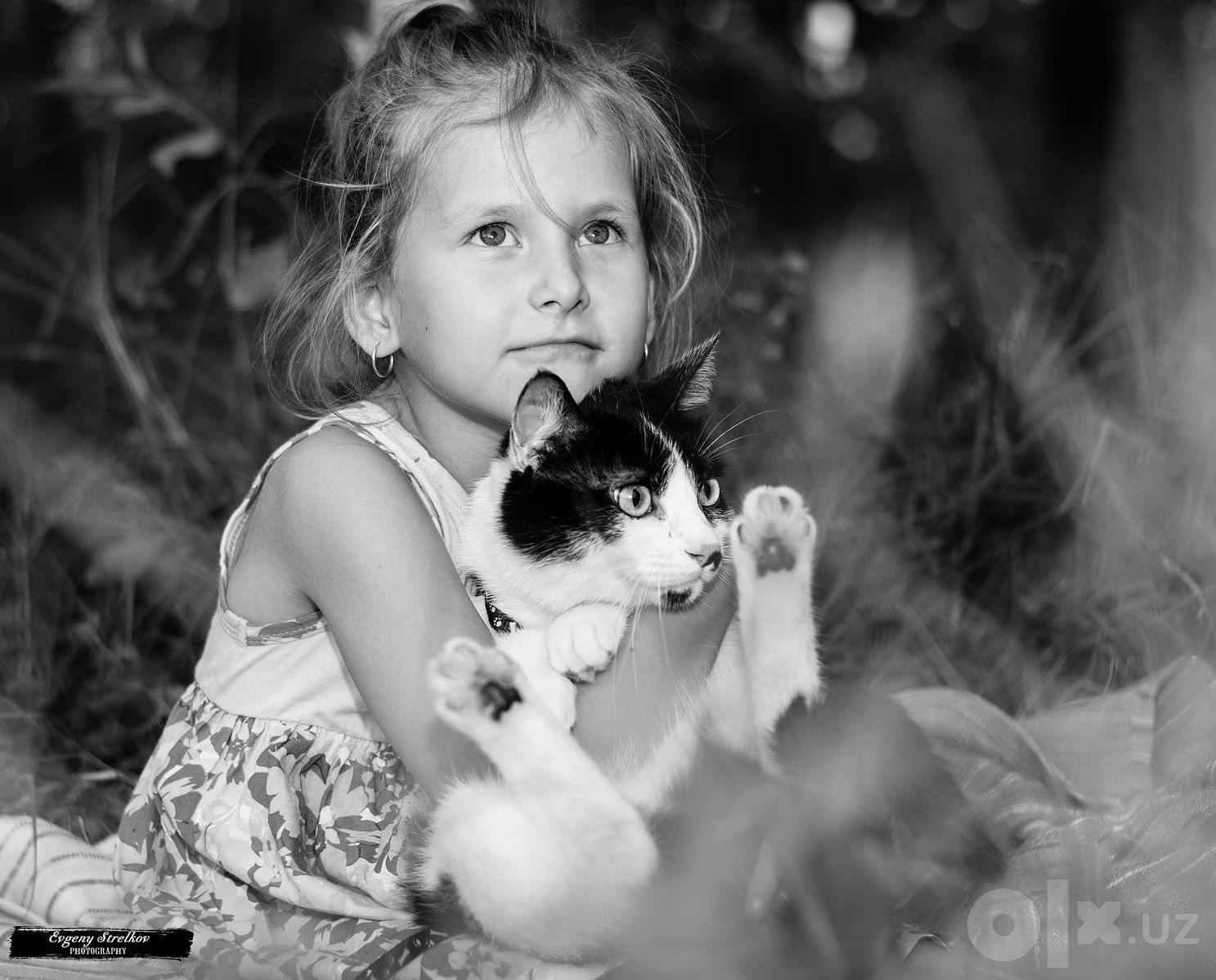 Фотосессии на любой случай от фотографа Евгения